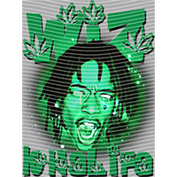 idol singer-GS  1144